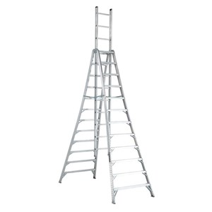 12' Frame Ladder